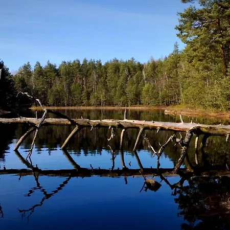 Chill - Mazuria * Ostróda